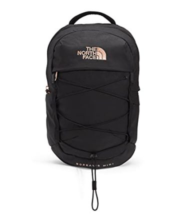 10L Mini Borealis Laptop Backpack