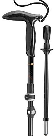 LEKI Legend Micro Carbon Walking Pole