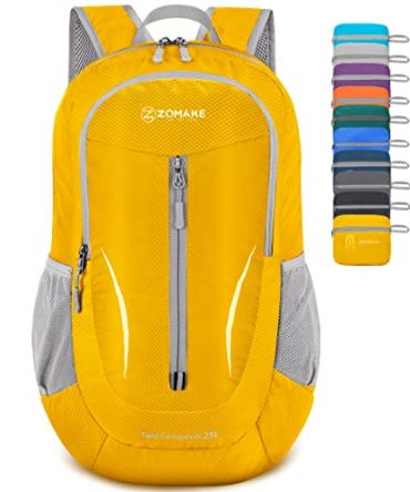 Water Resistant Lightweight Hiking Backpack