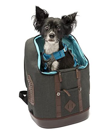 Kurgo Dog Carrier Backpack for Small Pets