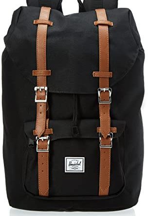 Hiking America Laptop Backpack