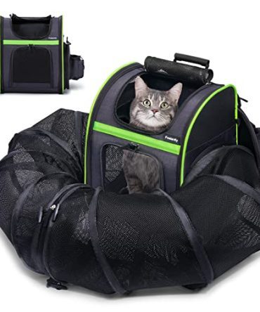 Airline-Approved Dog Carrier Backpacks