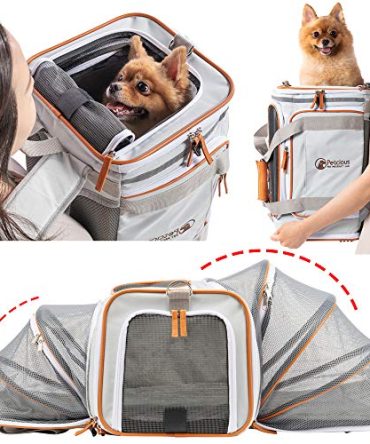 Airline Approved Pet Carrier Backpack Under seat